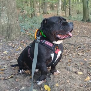 Kheops ♂️ SOS physique et mentale