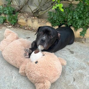 Kheops ♂️ SOS physique et mentale