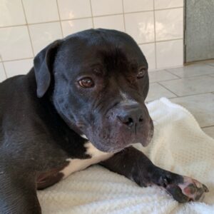 Kheops ♂️ SOS physique et mentale