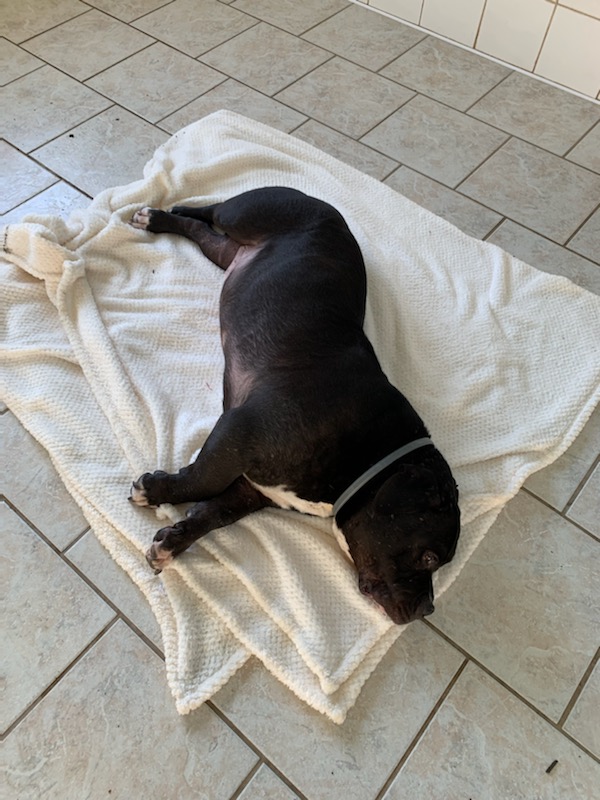 Kheops ♂️ SOS physique et mentale – Image 29