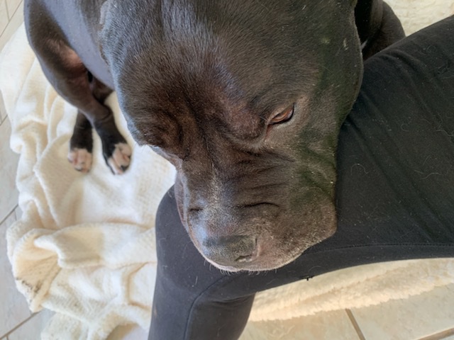 Kheops ♂️ SOS physique et mentale – Image 30