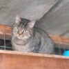 Telma ♀️ – Image 8