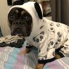 Rocco – Image 3