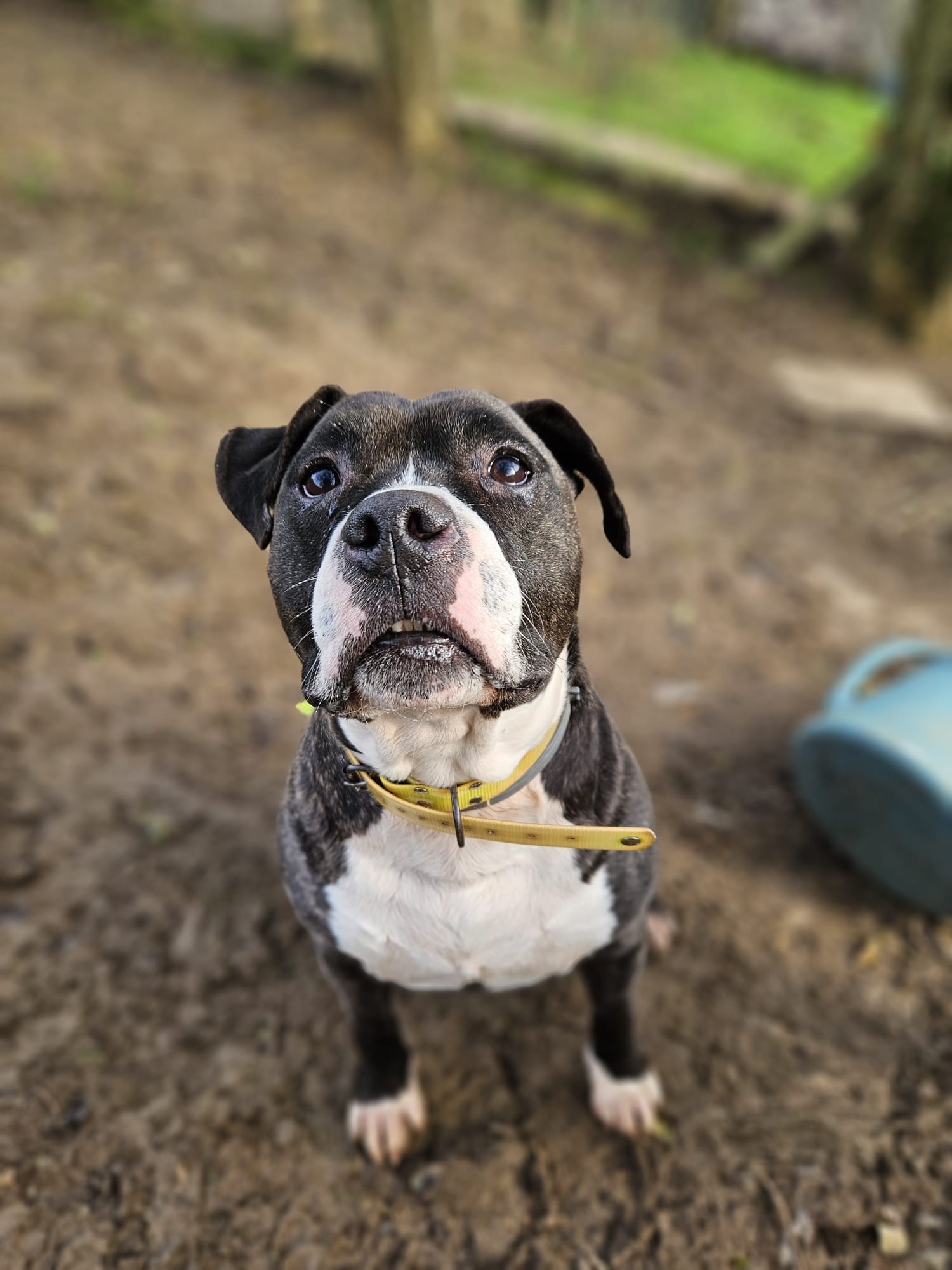 Mister django ♂️ – Image 12