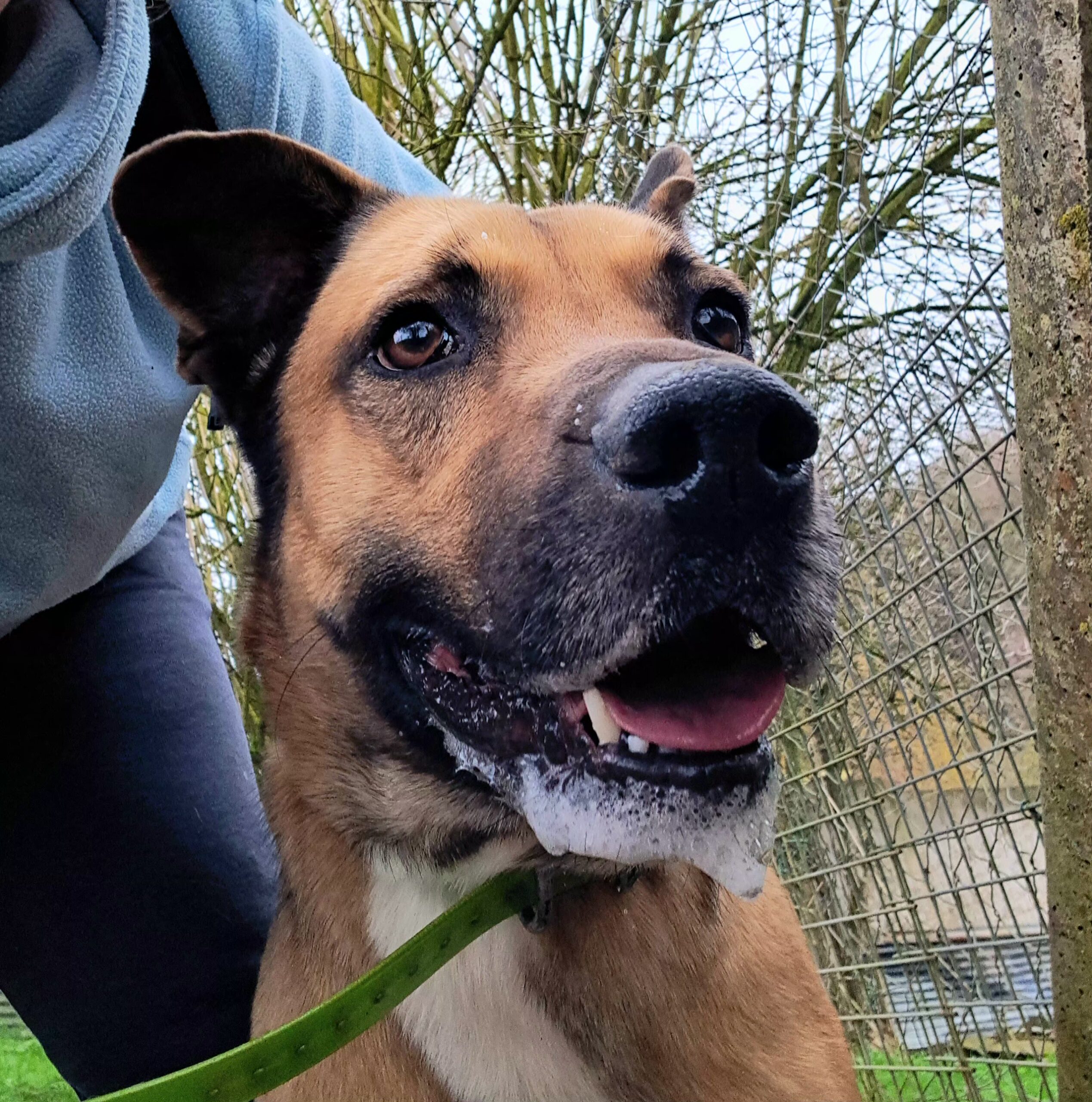 Shenzi ♀️ – Image 13