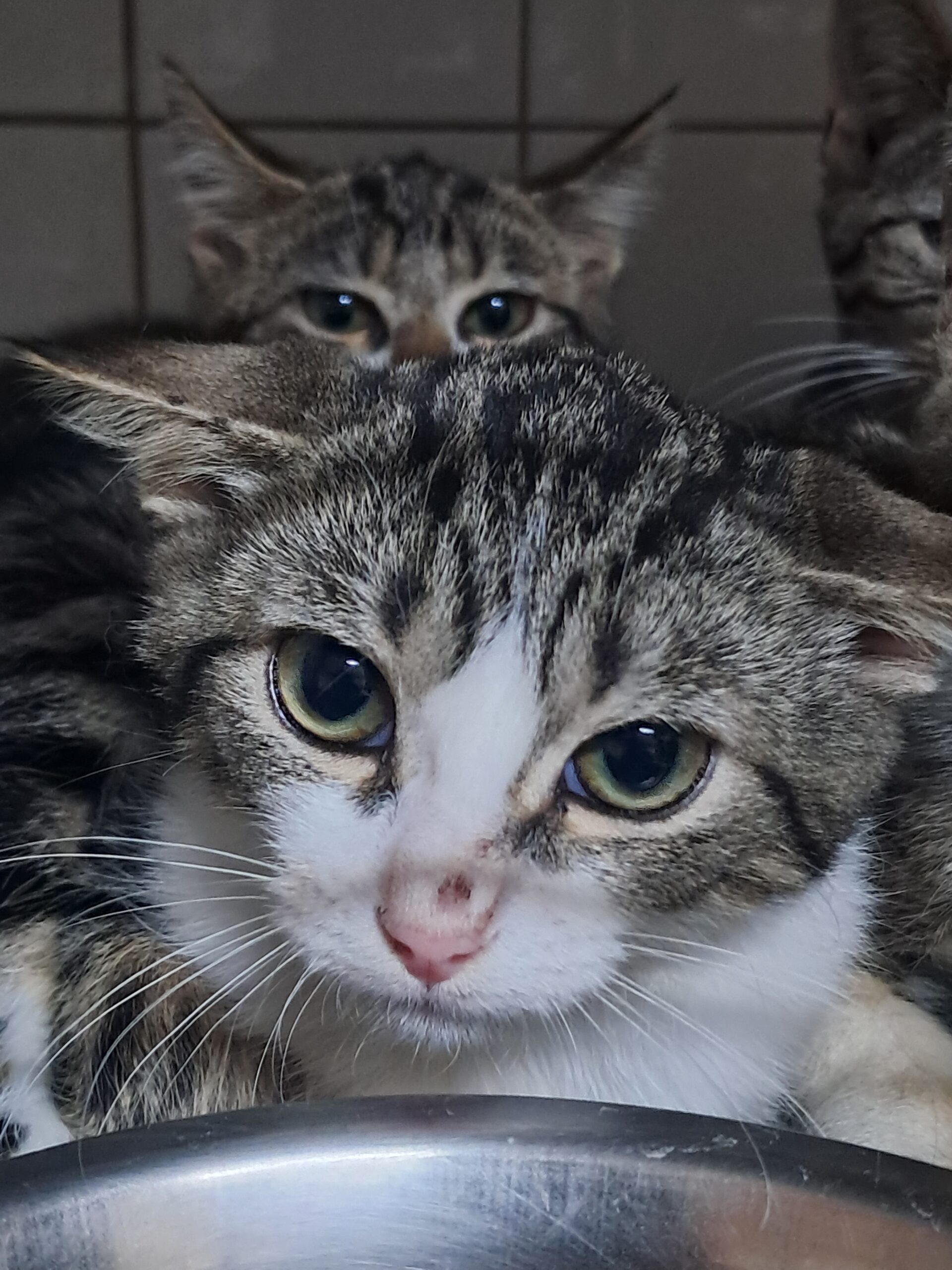 Jelly ♀️ – Image 2