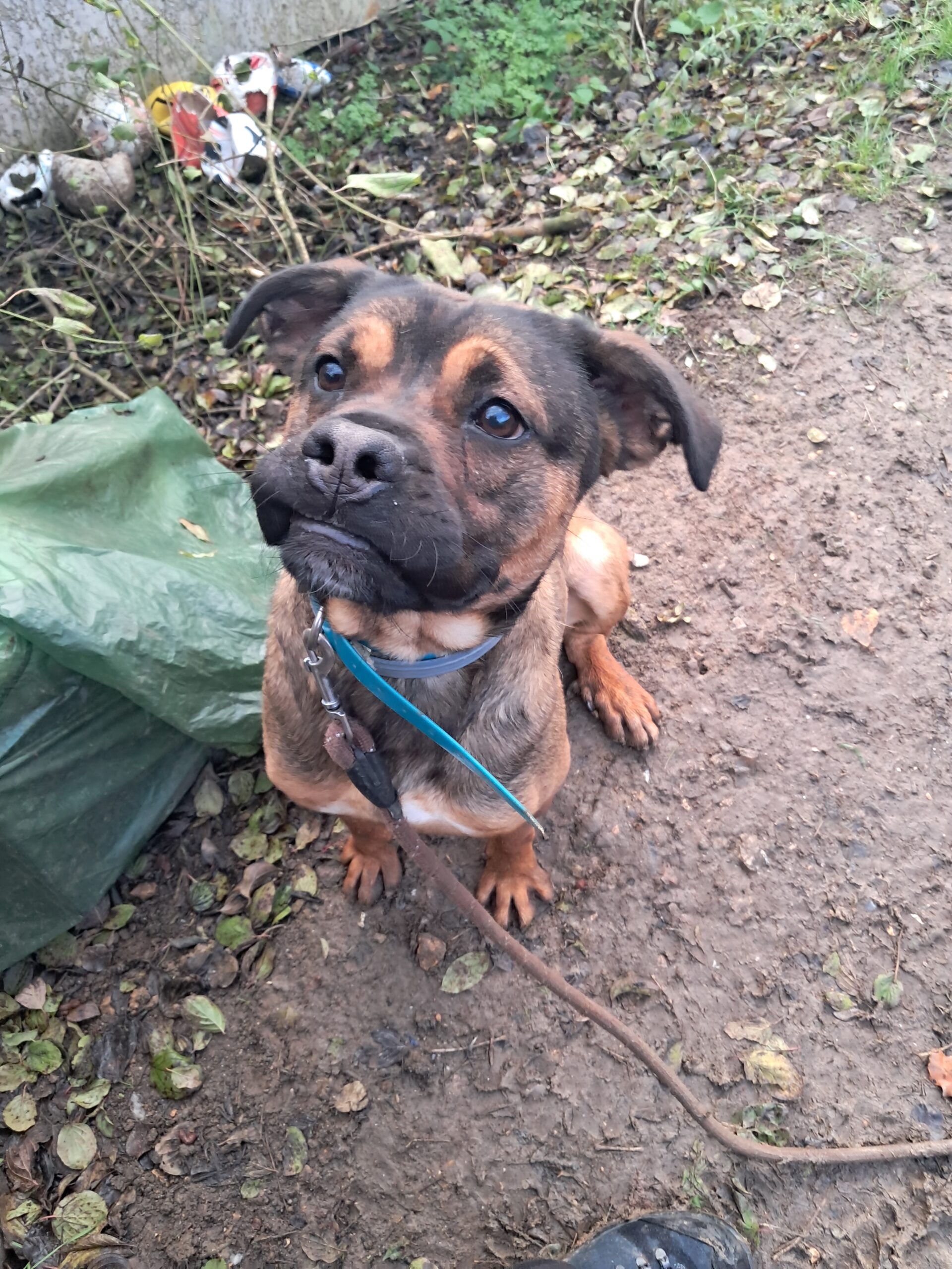 Pancake ♂️ – Image 24