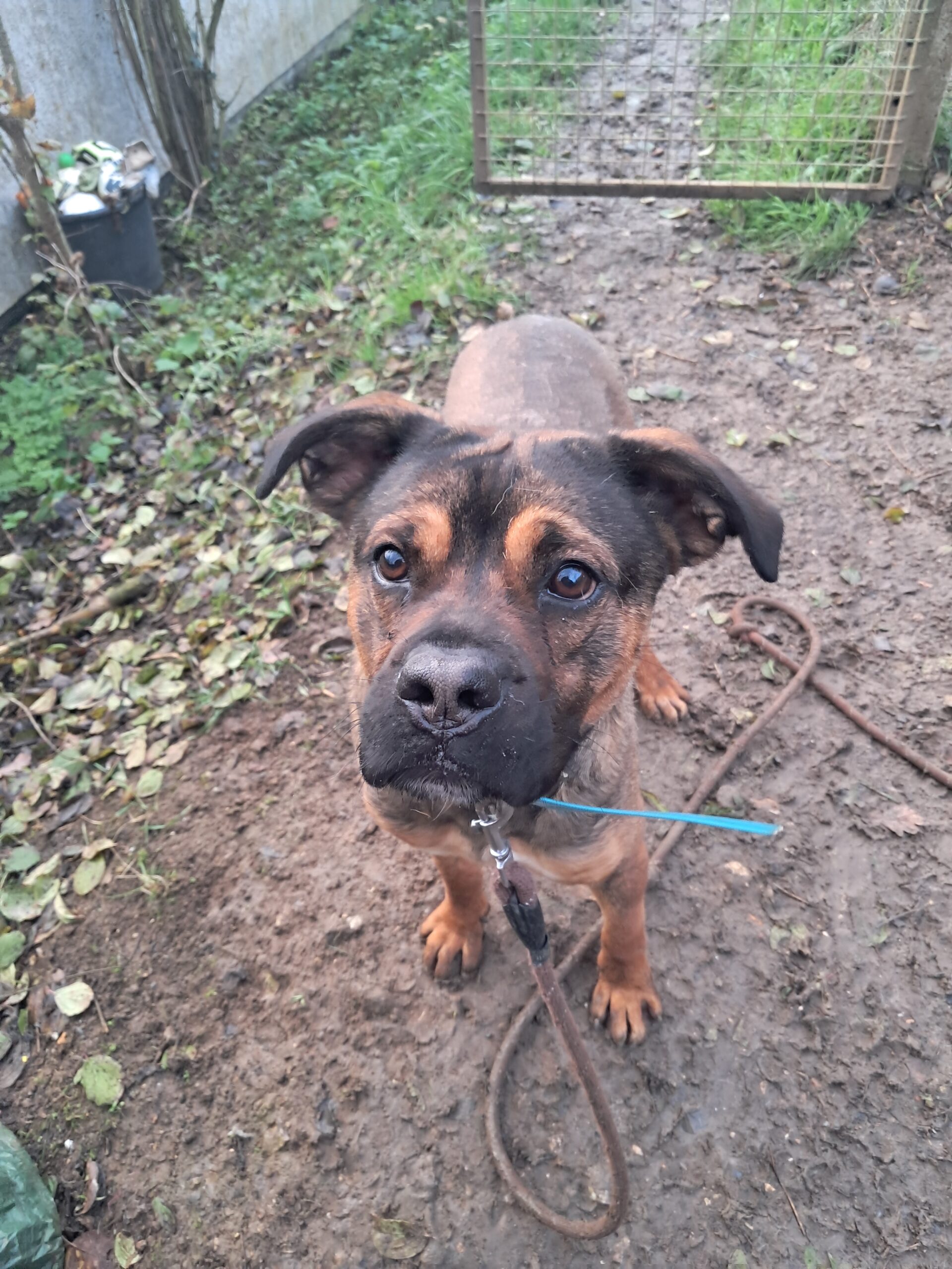 Pancake ♂️ – Image 23