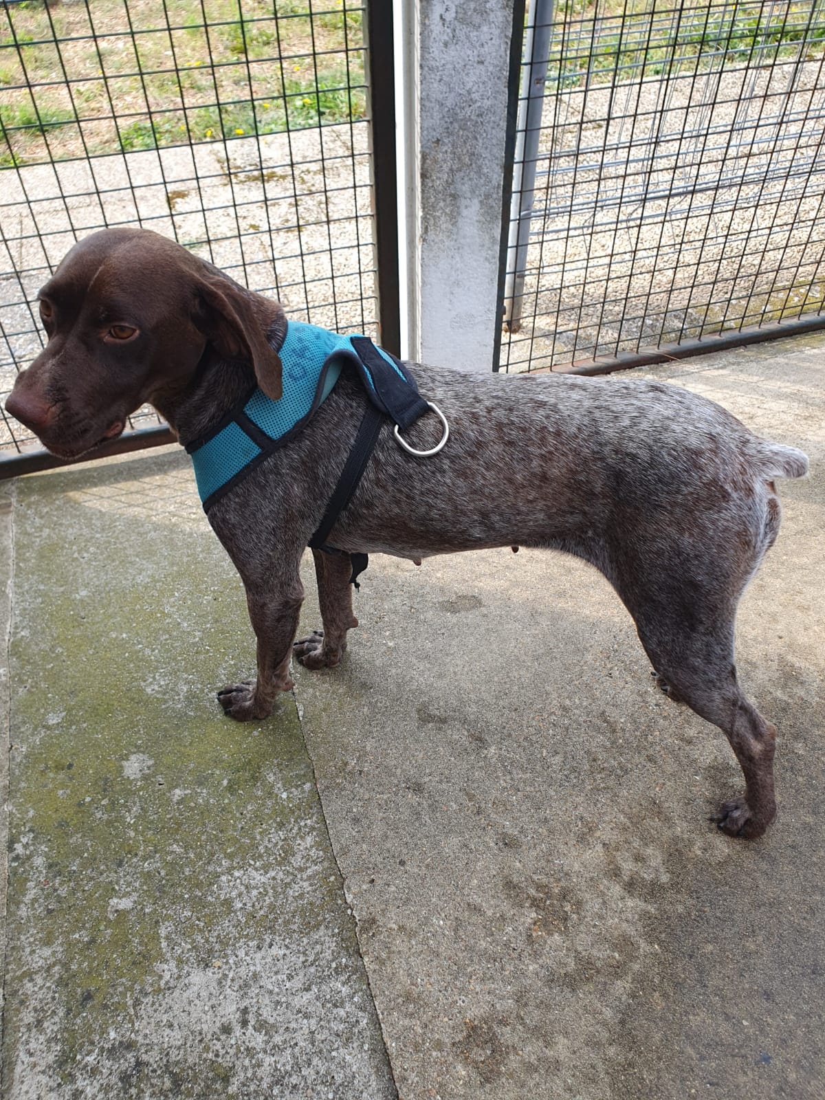 Belle ♀️ – Image 2