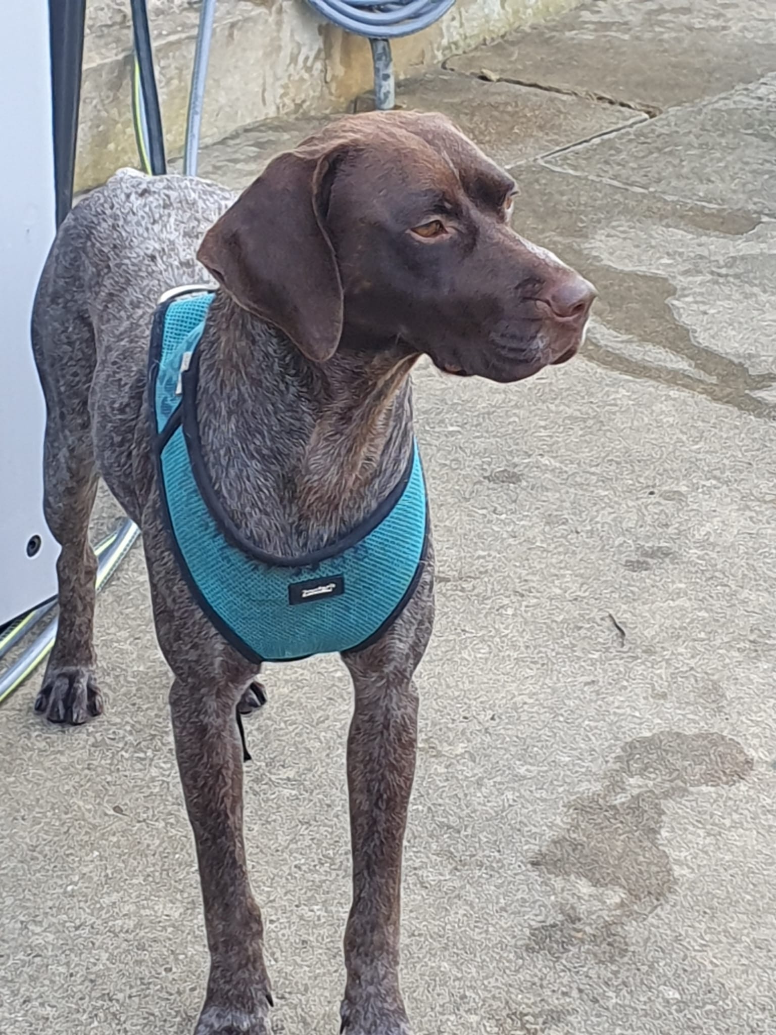 Belle ♀️ – Image 3