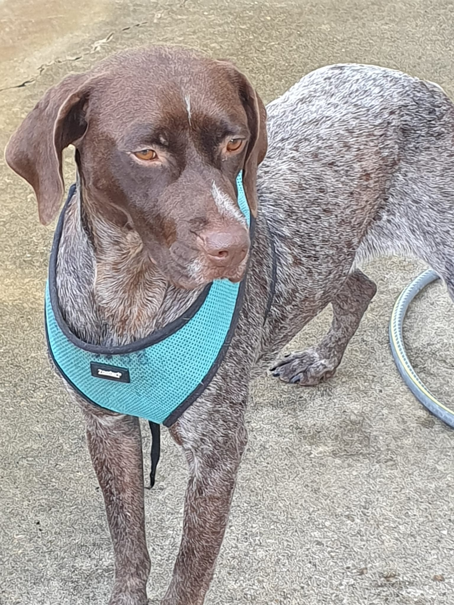 Belle ♀️ – Image 4