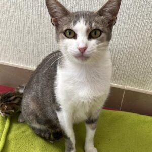 Amy ♀️ réservé