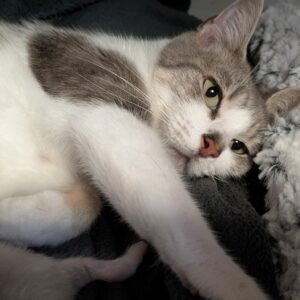 Meï ♀️ réservée