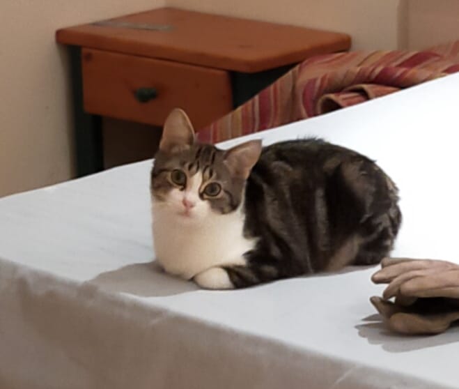 Jelly ♀️ – Image 5