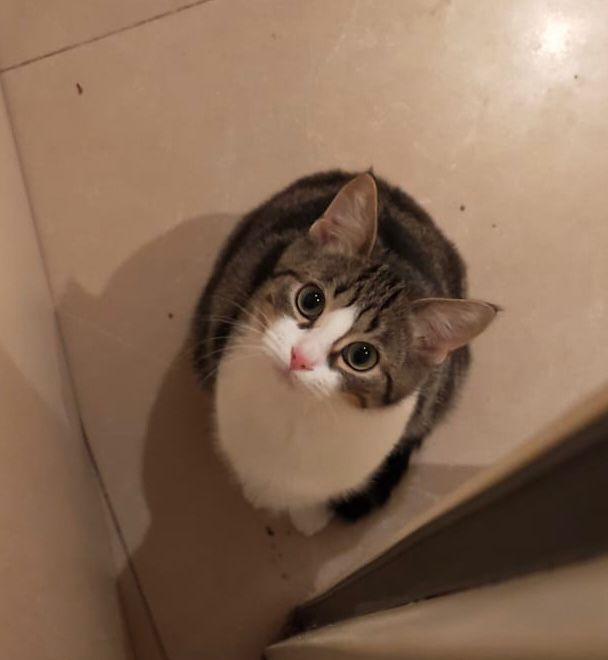 Jelly ♀️ – Image 4