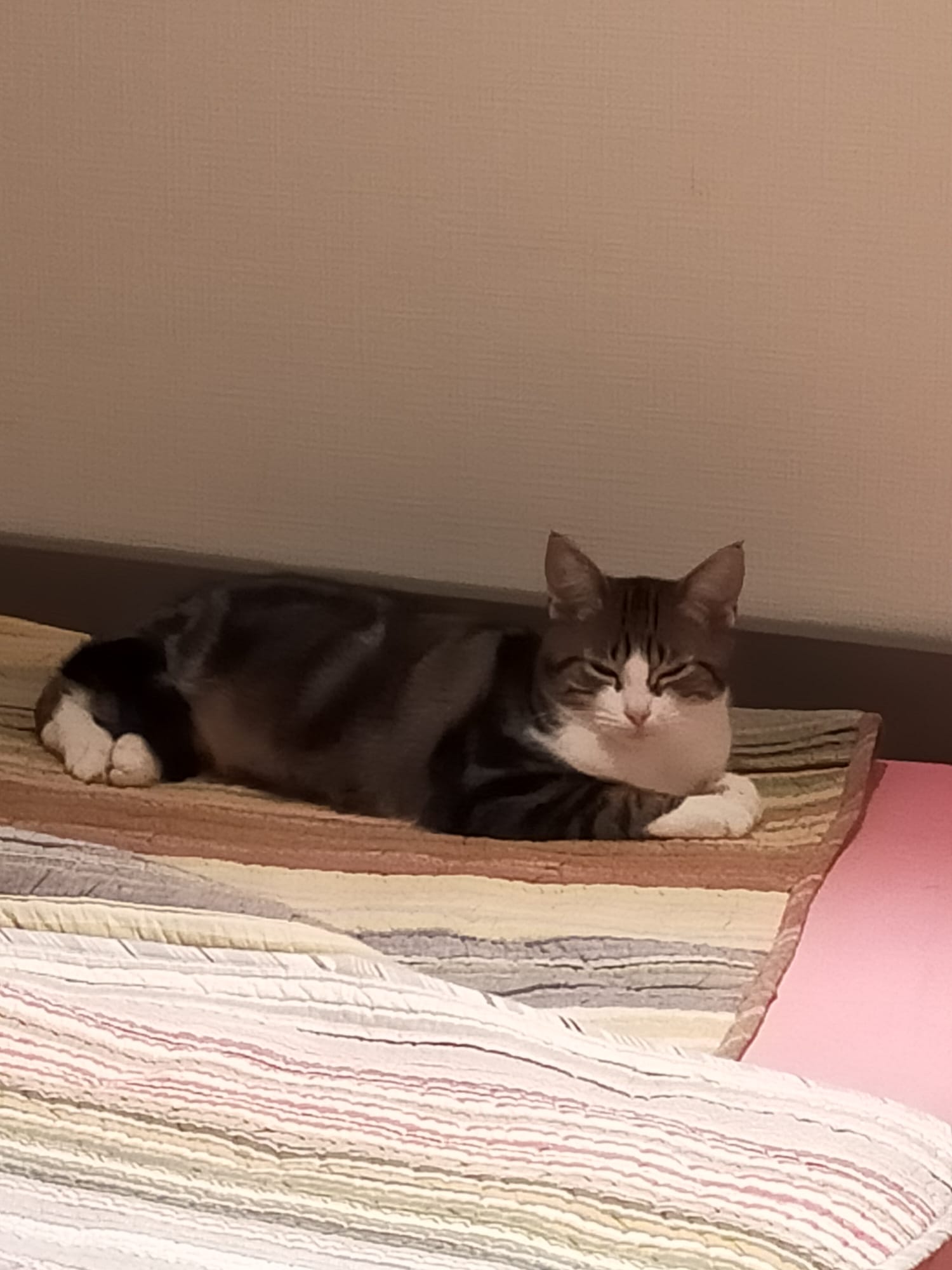 Jelly ♀️ – Image 3