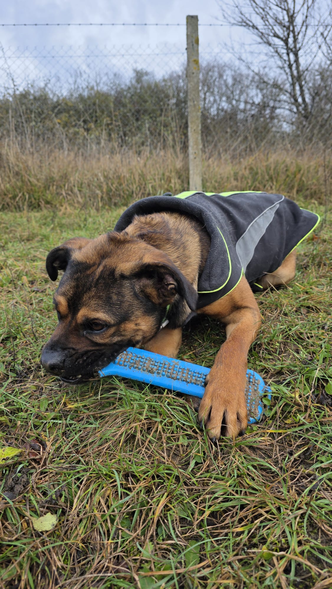 Pancake ♂️ – Image 28