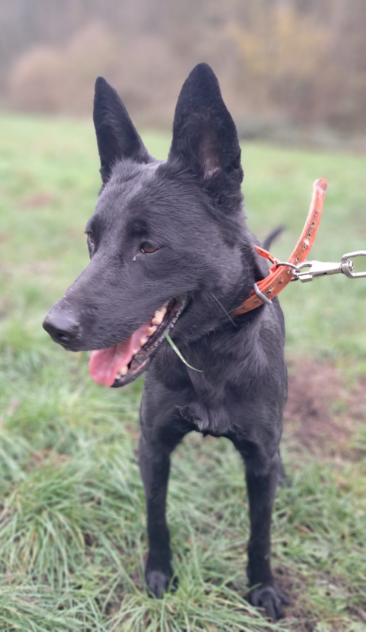 Ruby ♀️ – Image 15