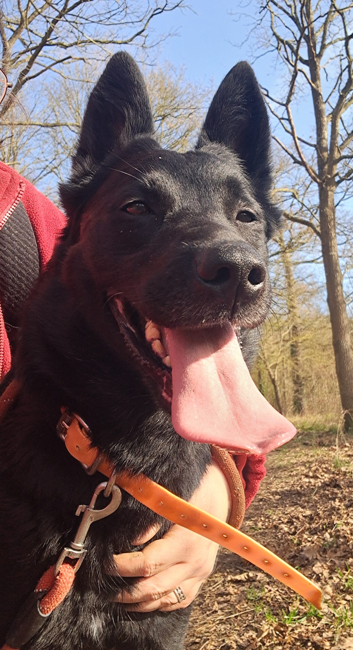 Ruby ♀️ – Image 14