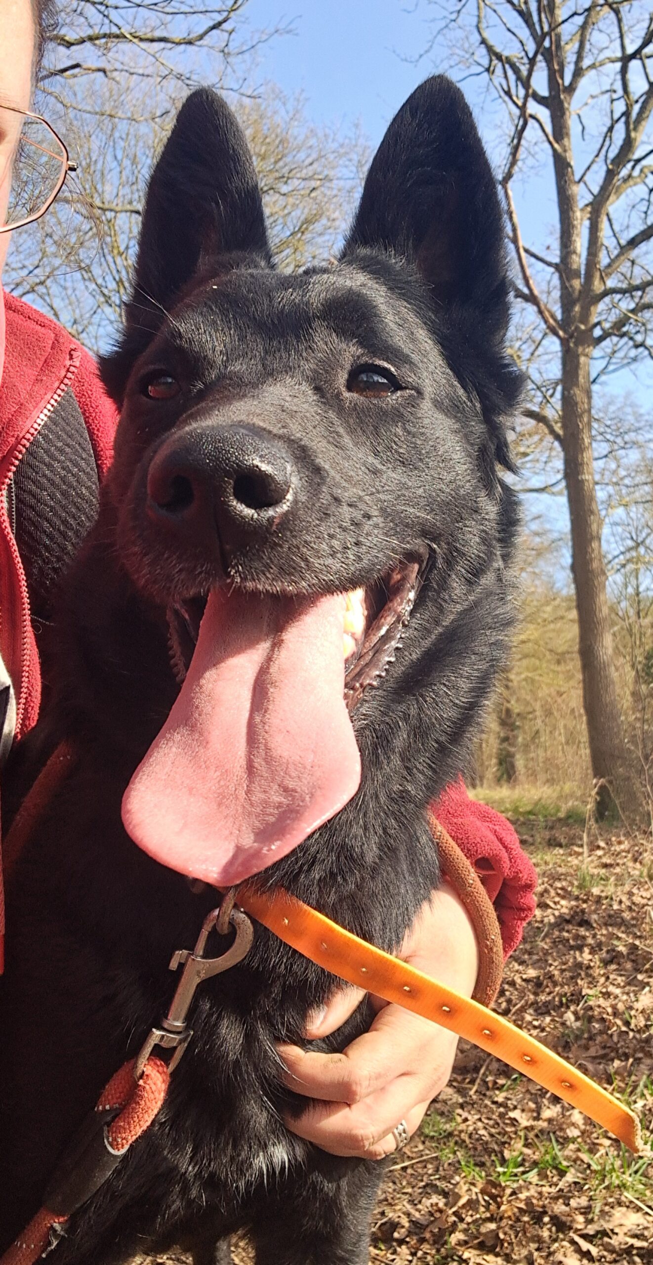 Ruby ♀️ – Image 15