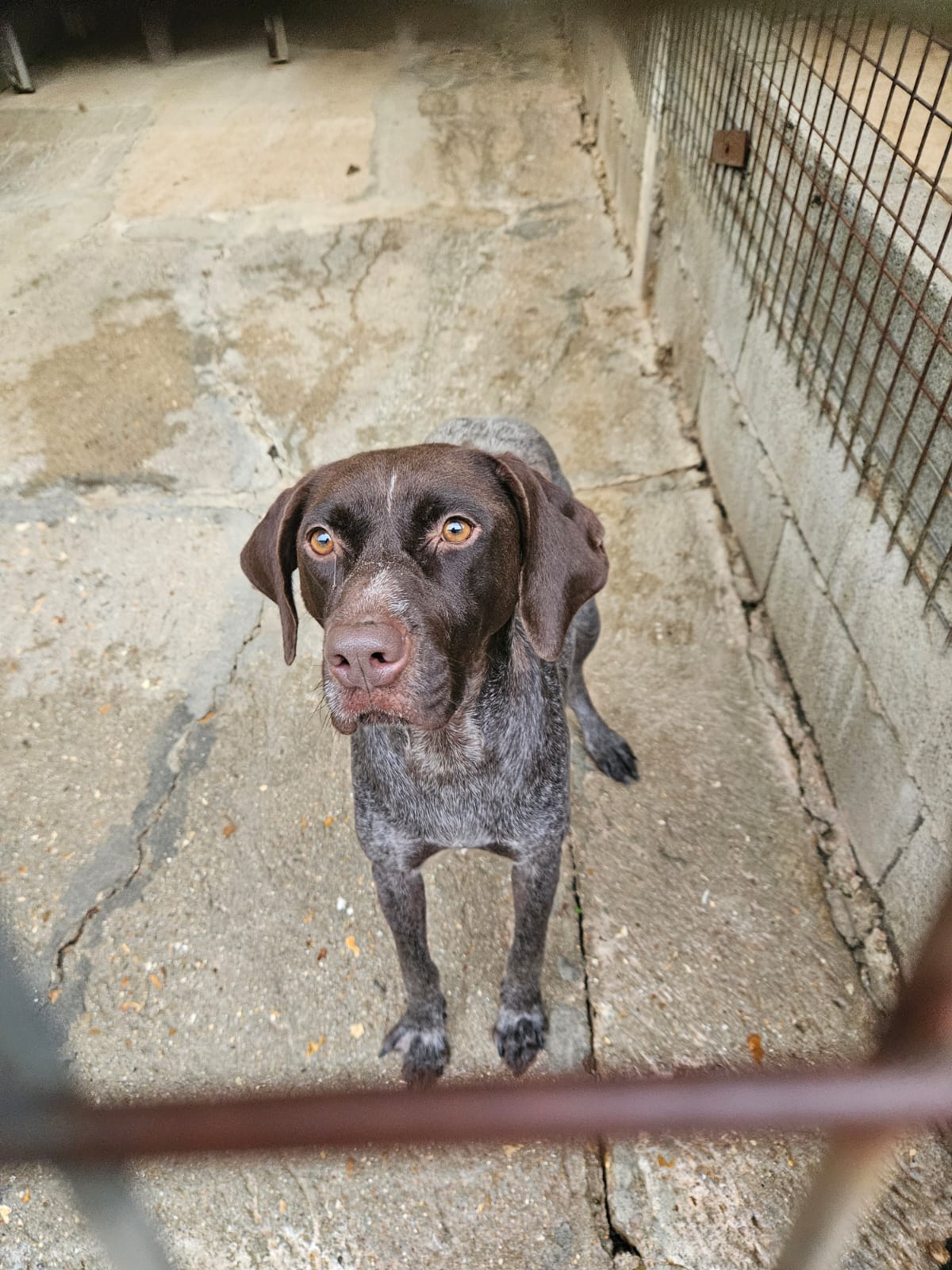 Belle ♀️ – Image 5