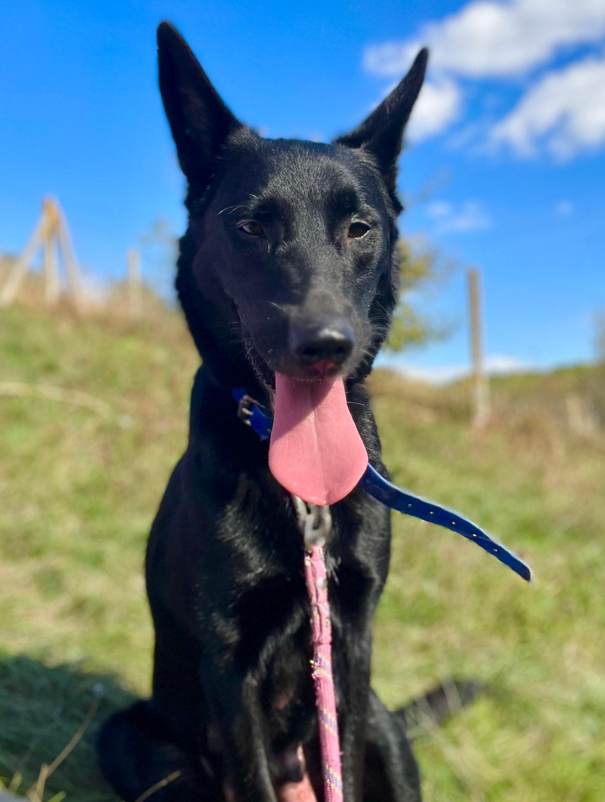 Ruby ♀️ – Image 12