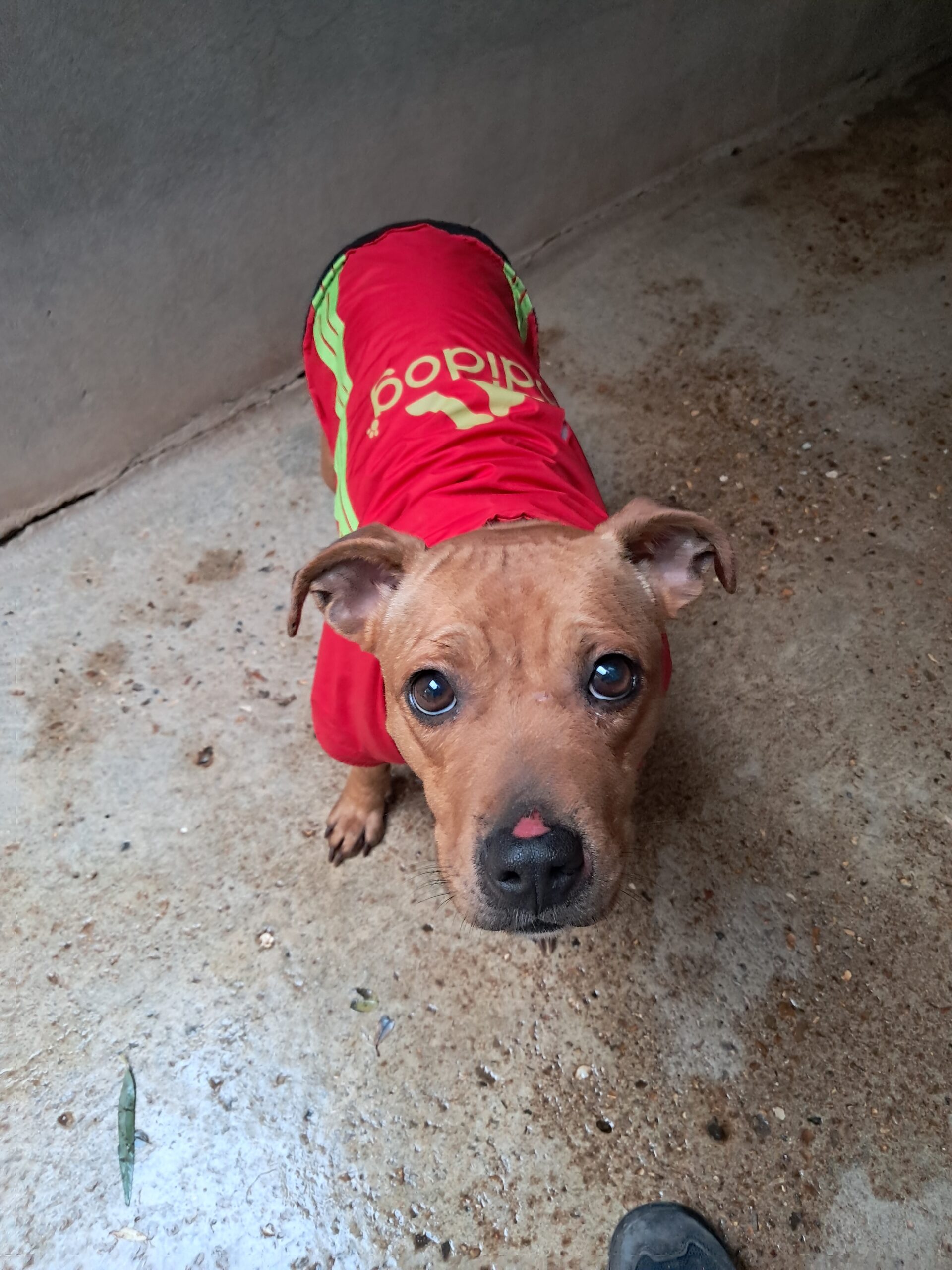 Taya ♀️placement interne – Image 2