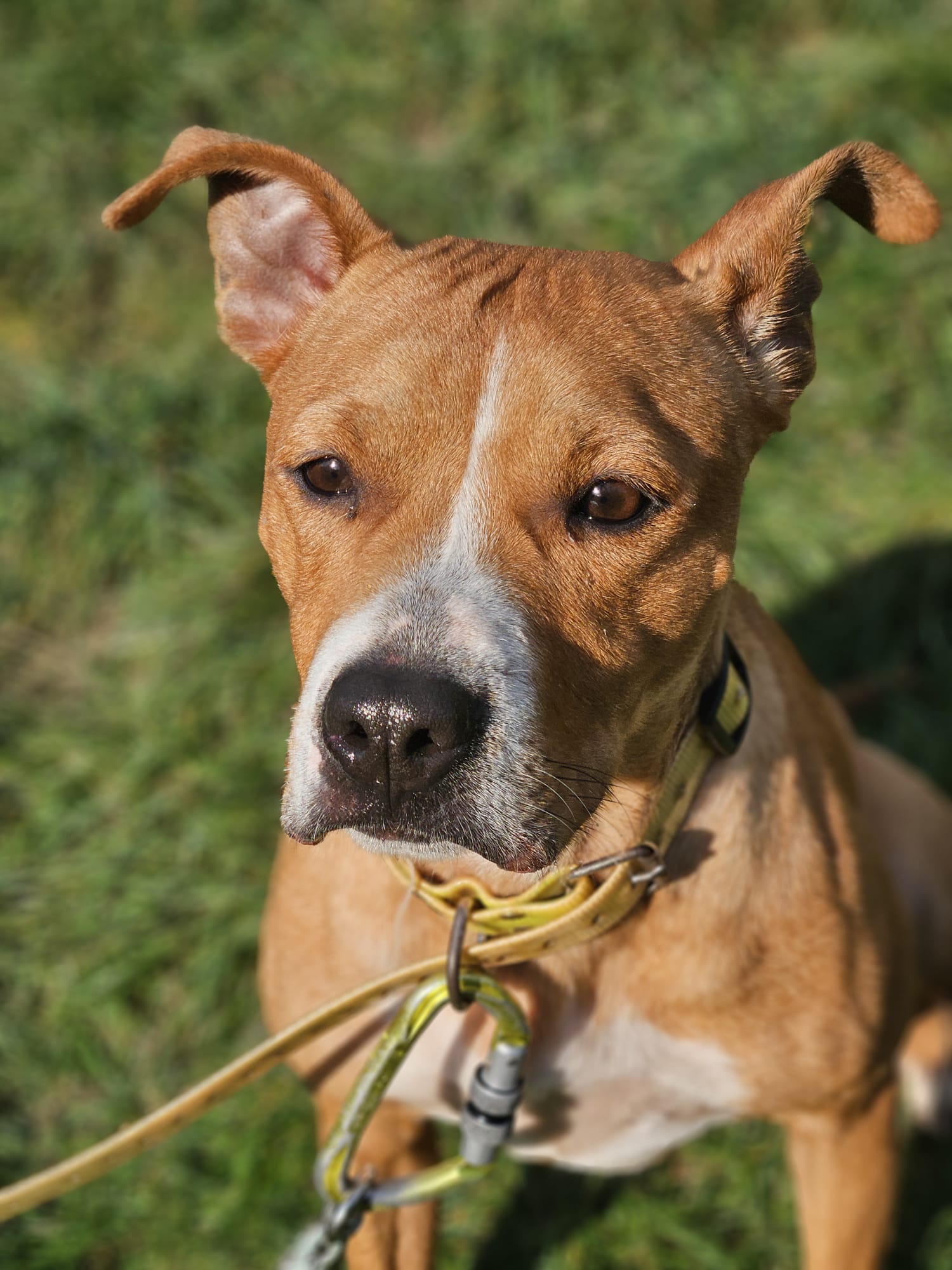 Alabama ♀️placement interne – Image 5