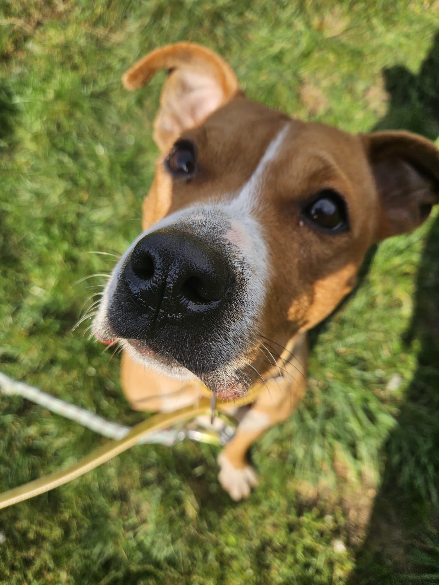 Alabama ♀️placement interne – Image 6