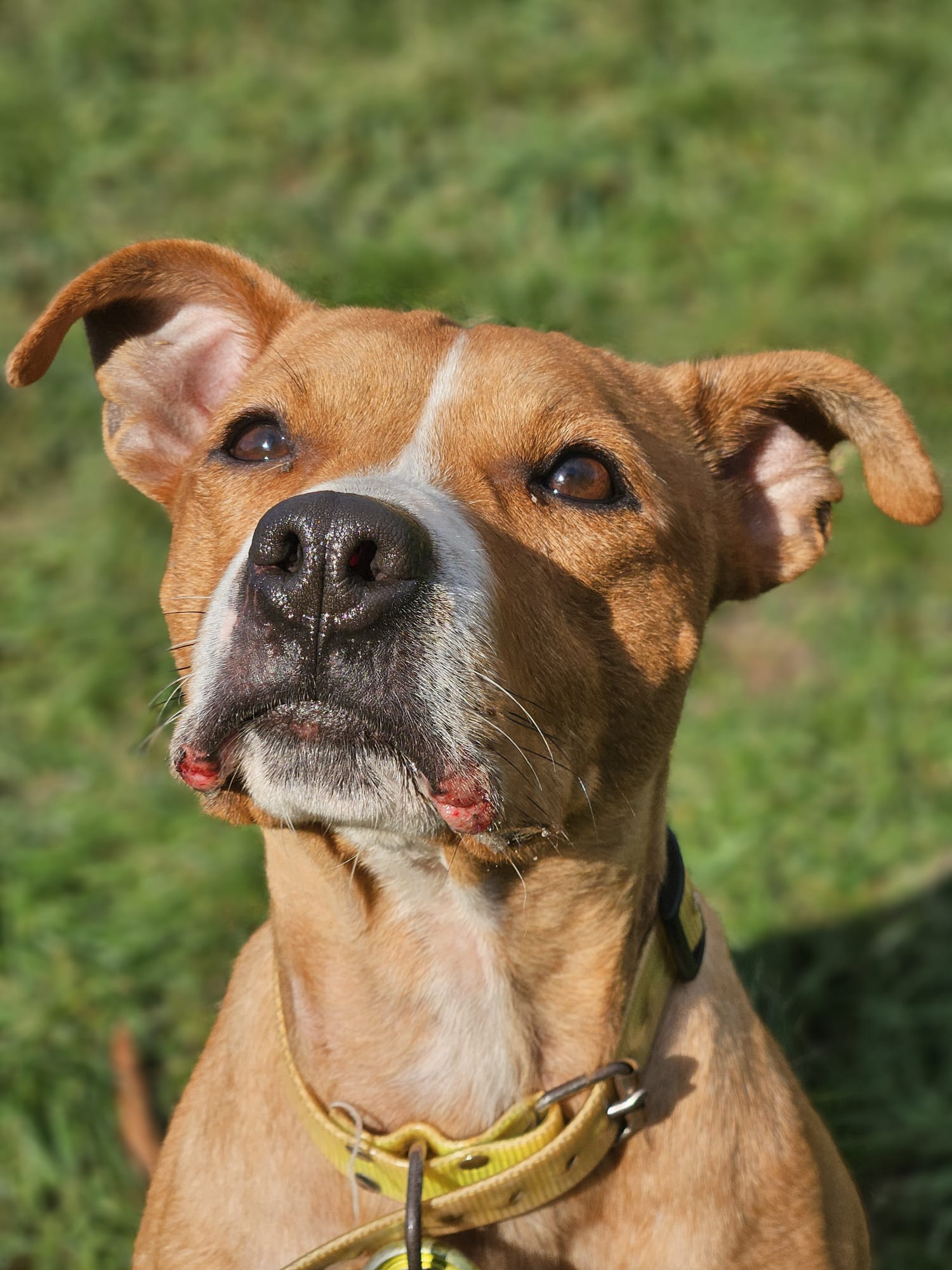 Alabama ♀️placement interne – Image 7