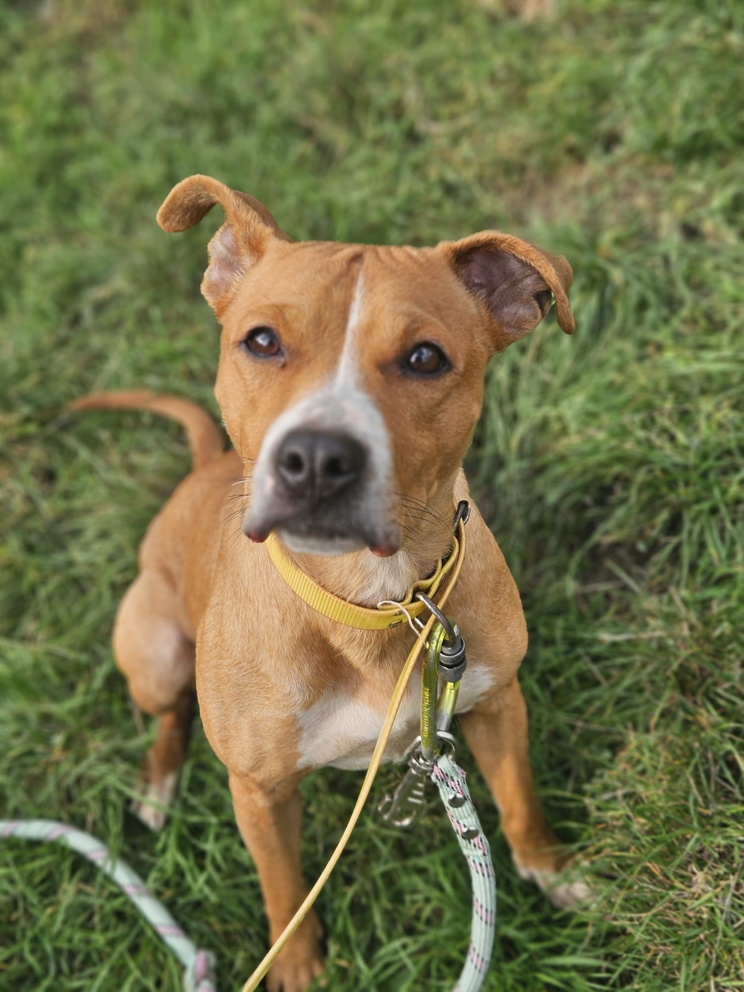 Alabama ♀️placement interne – Image 4