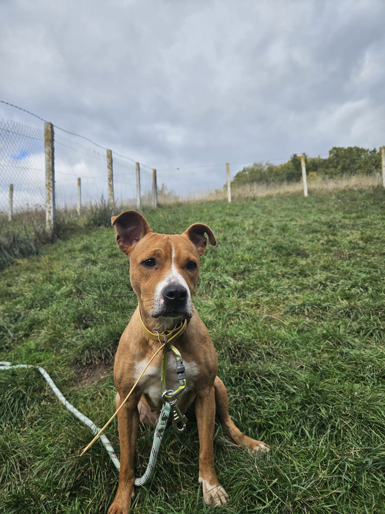 Alabama ♀️placement interne – Image 3