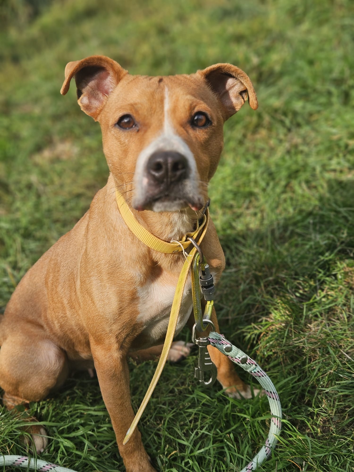 Alabama ♀️placement interne – Image 2