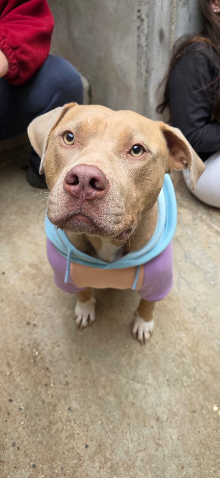 Ecko ♂️ – Image 2