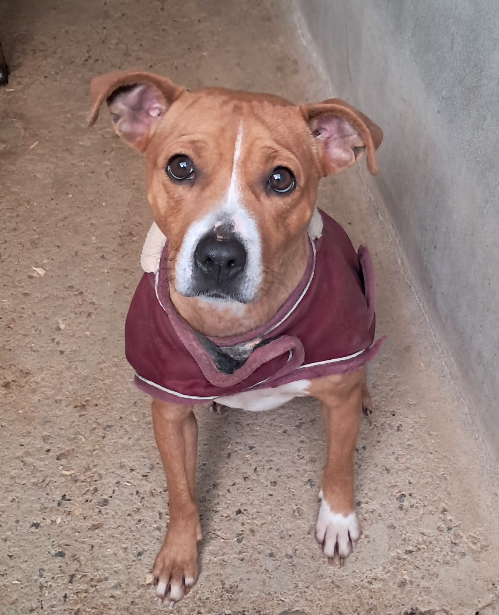 Alabama ♀️placement interne – Image 8