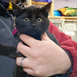 Ombrage ♀️ réservée