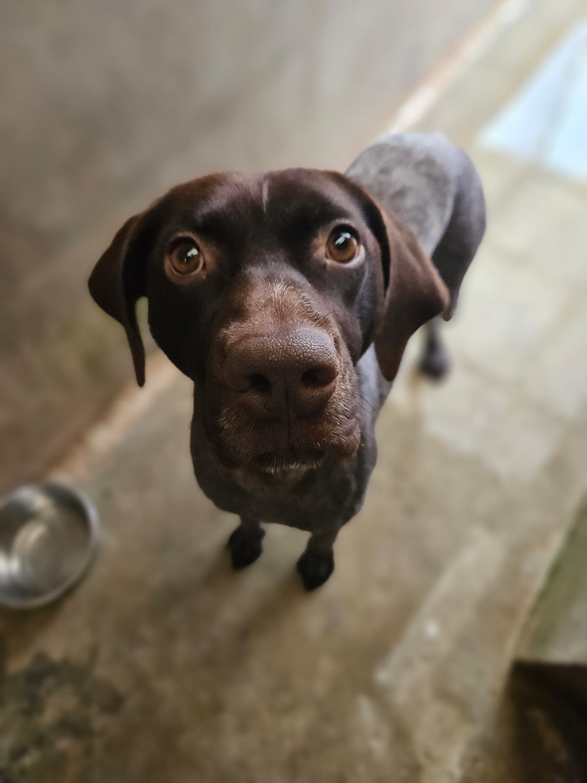 Belle ♀️ – Image 6