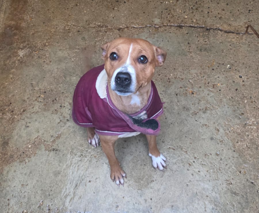 Alabama ♀️placement interne – Image 10