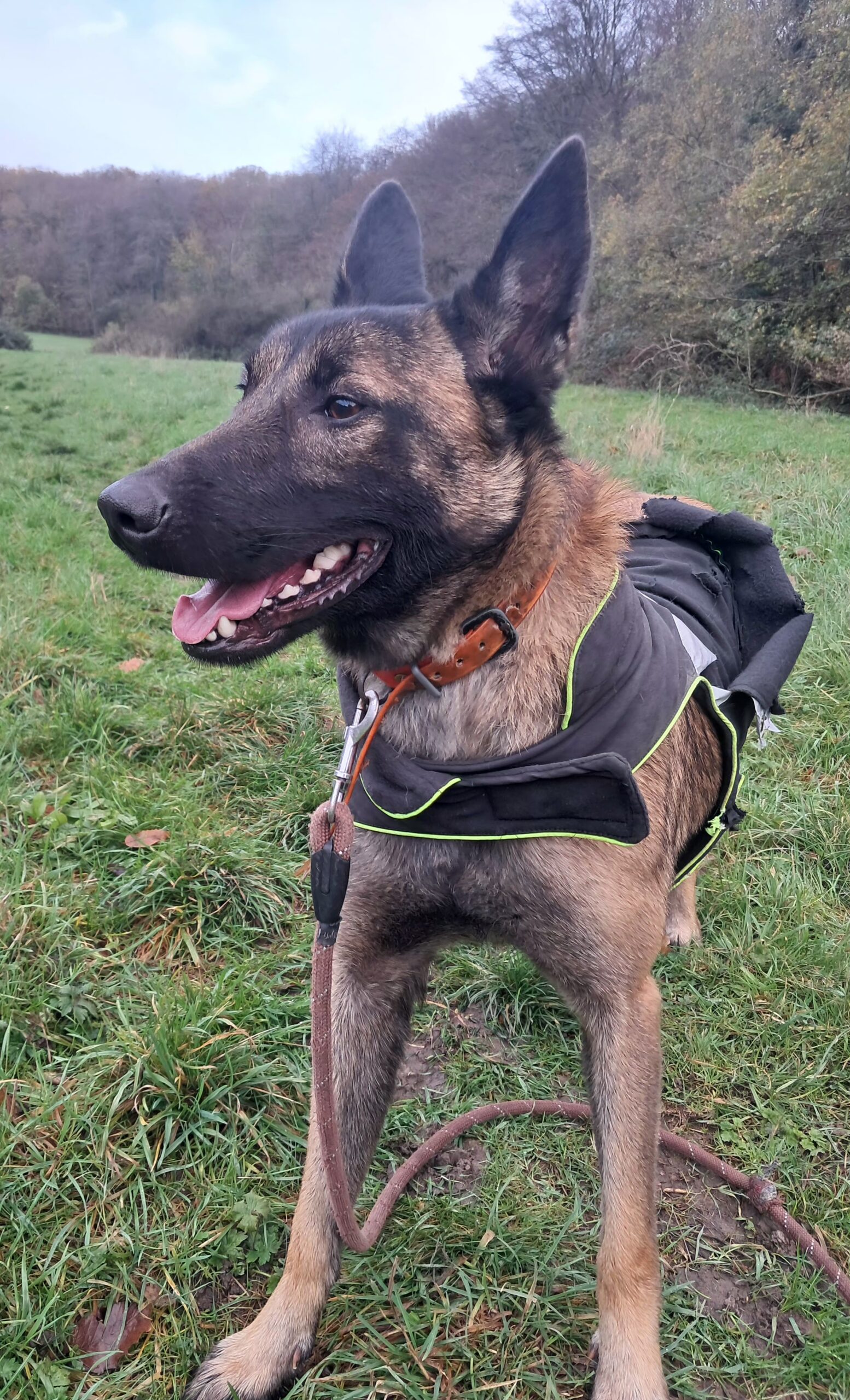 Julie ♀️ – Image 3