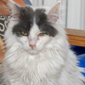 Nuage ♂️ indisponible soin