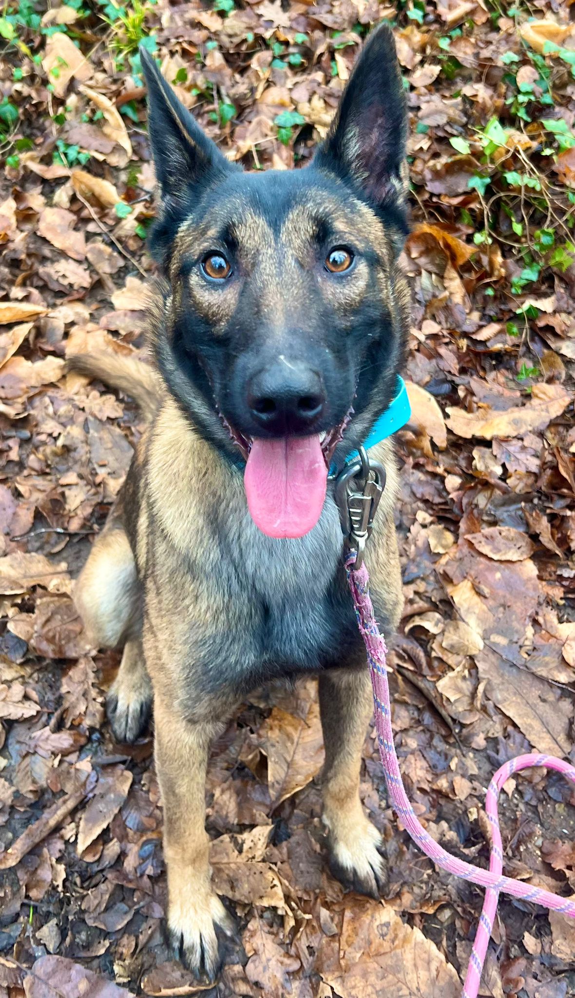 Julie ♀️ – Image 6