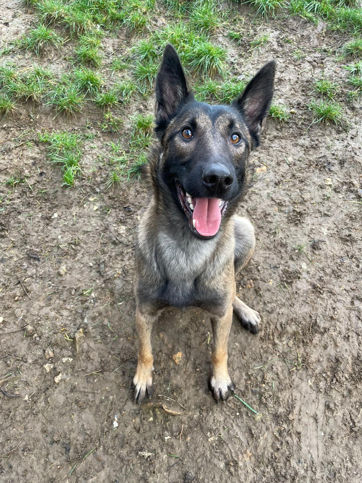 Julie ♀️ – Image 4