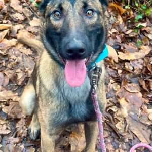 Julie ♀️indisponible pour test armée