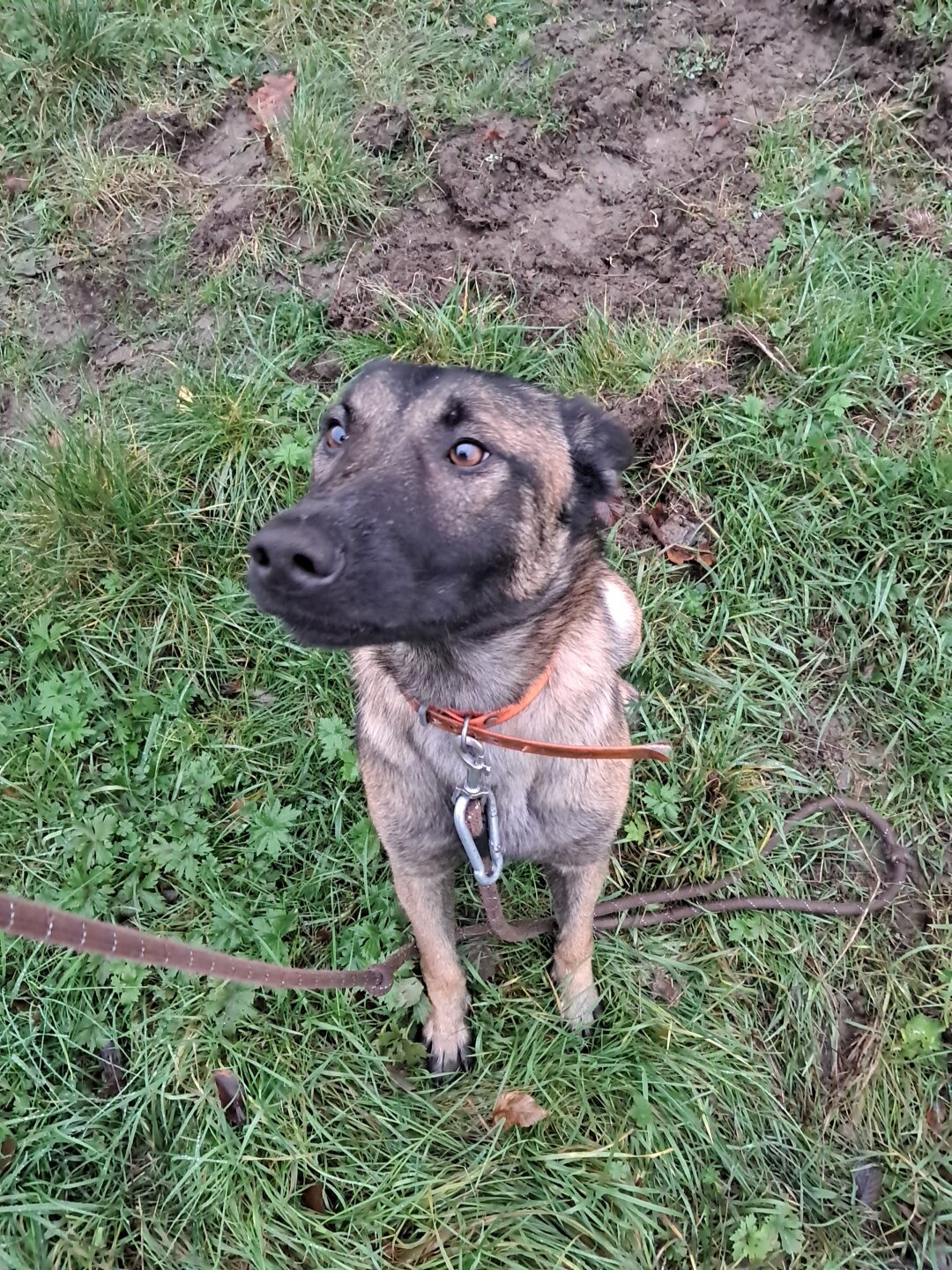 Julie ♀️ – Image 2