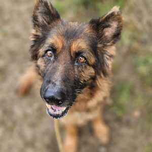 Naya ♀️ réservée