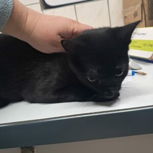 Vadrouille ♀️ réservée