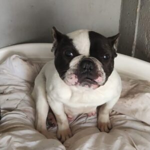 Joy ♀️ INDISPONIBLE soin