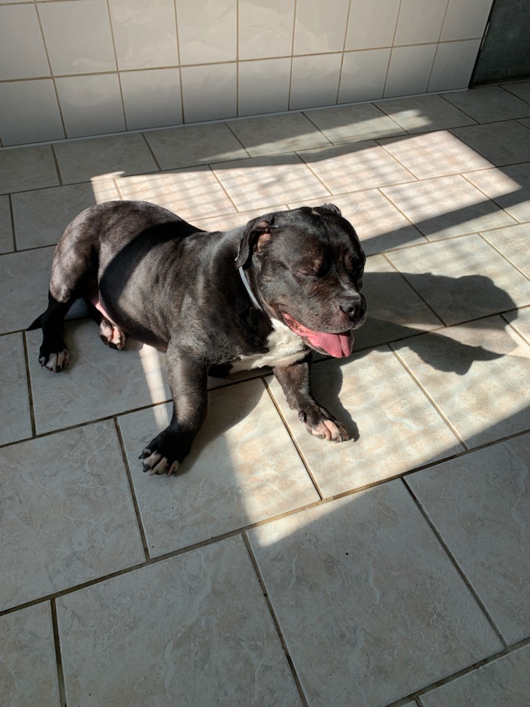 Kheops ♂️ SOS physique et mentale – Image 31