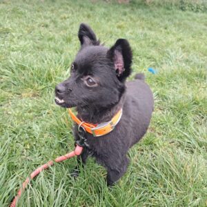 Volti ♀️indisponible soin