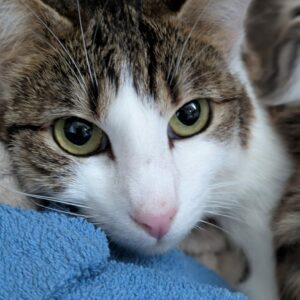 Padmé ♀️indisponible jeune maman